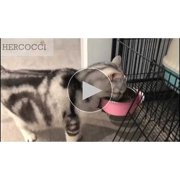 Stainless Steel Dog Crate Bowl V199