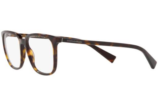Havana Eyeglasses Y713