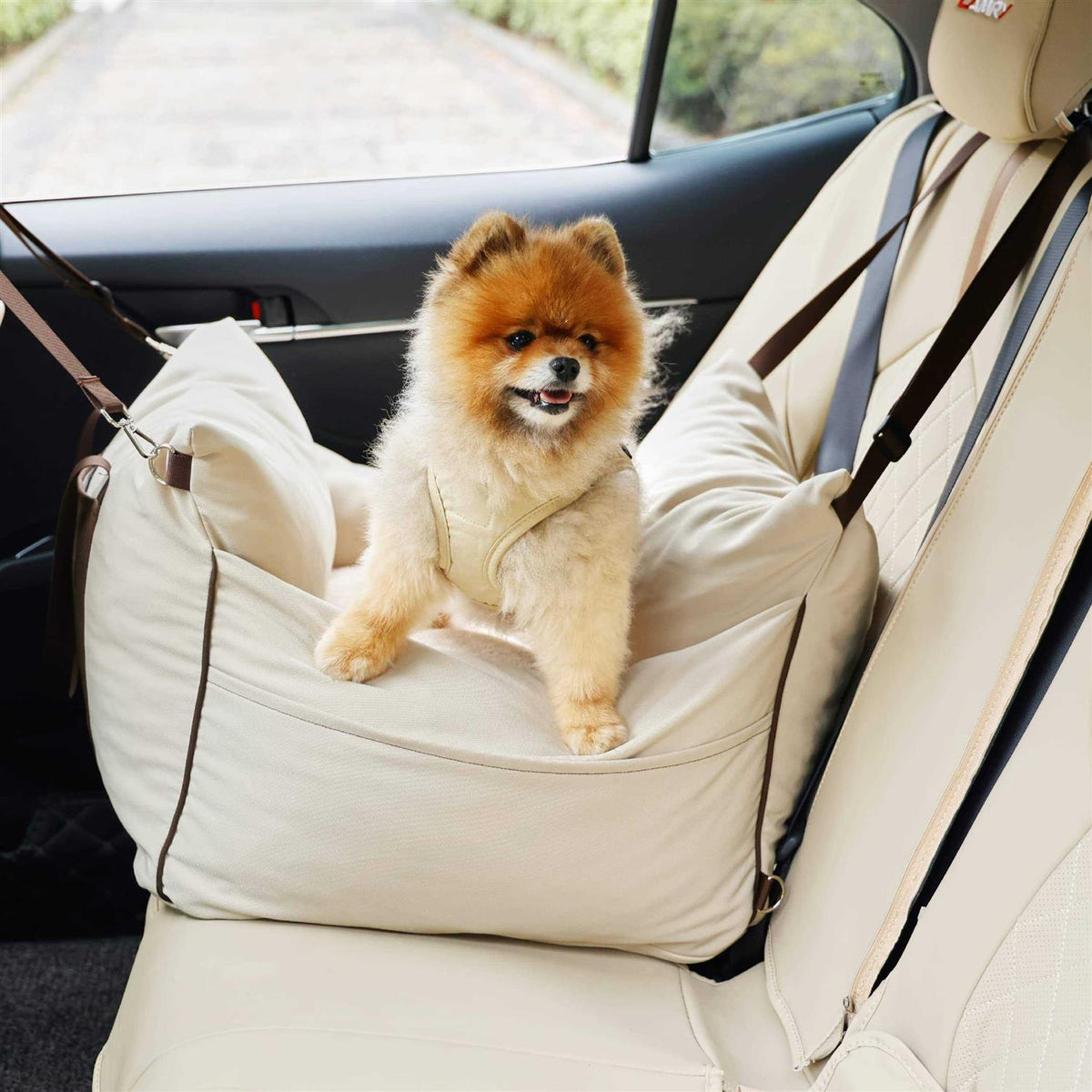 Small Dog Car Seat with Storage Pockets and Safety Leash A14994