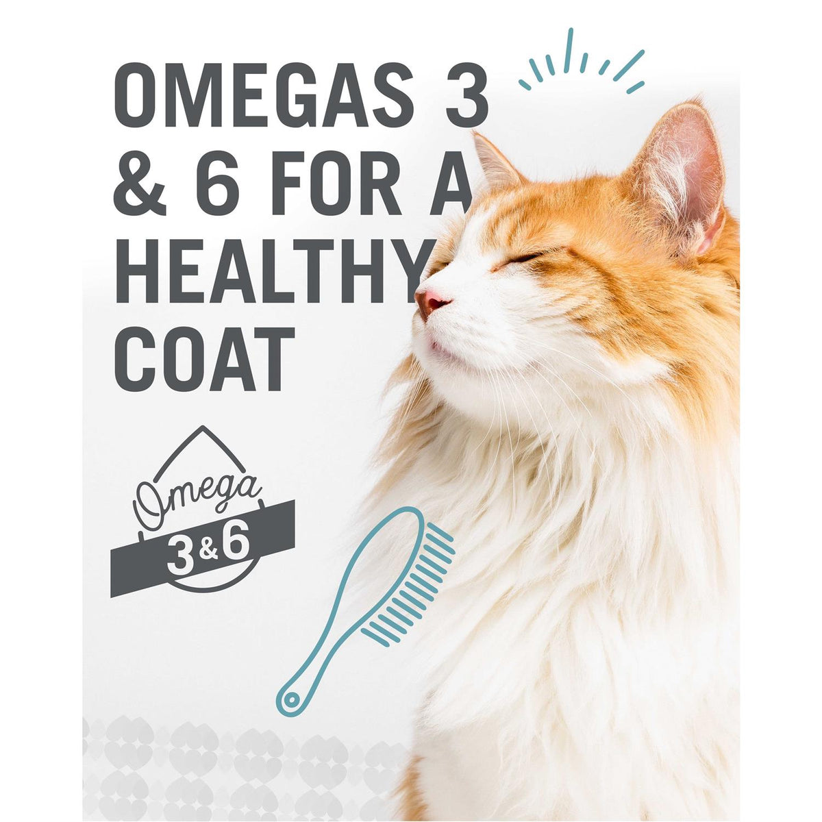 Wet Cat Food Variety Pack T30484