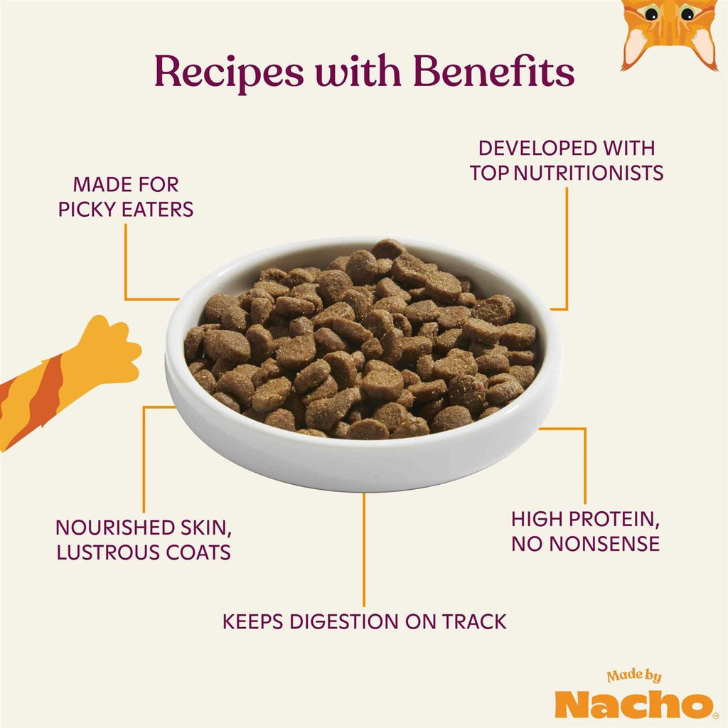 Salmon & Pumpkin Recipe Dry Cat Food J178702