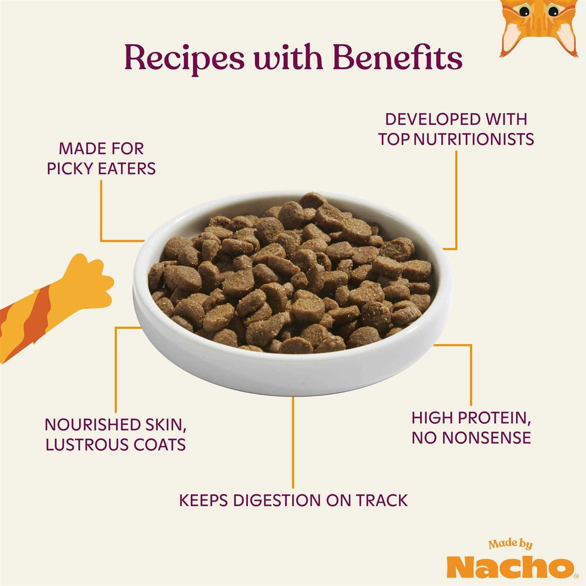 Salmon & Pumpkin Recipe Dry Cat Food J178702
