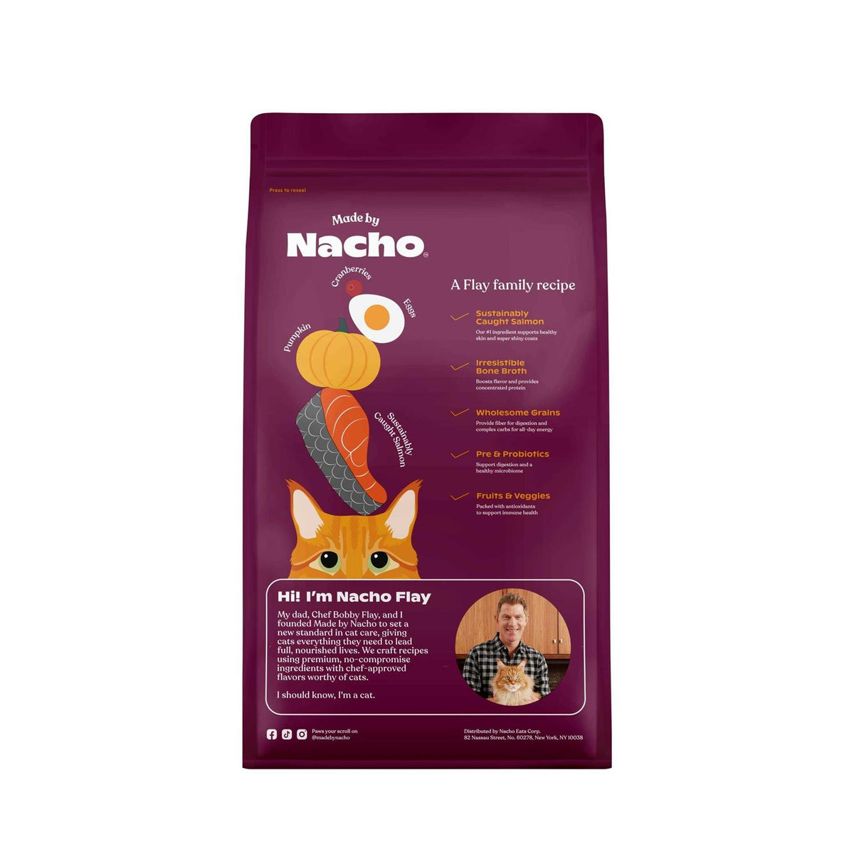 Salmon & Pumpkin Recipe Dry Cat Food J178702