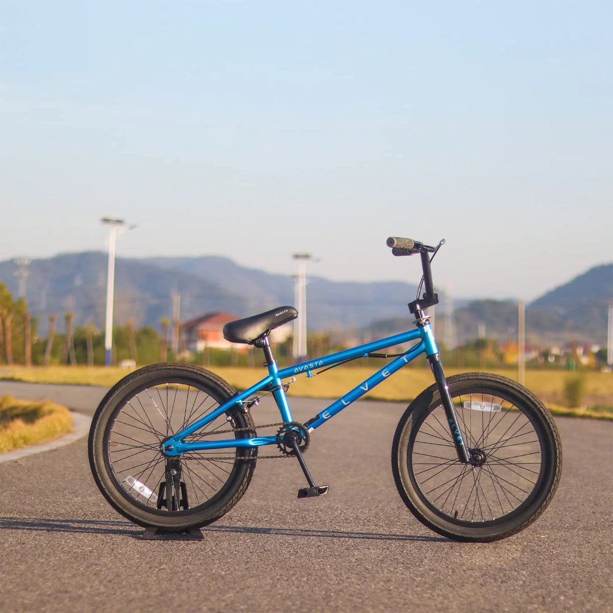 20 Inch Blue Kid BMX Bicycle L82308