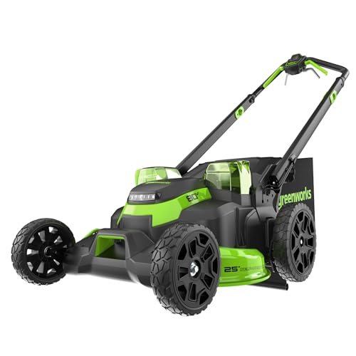 80V 25" Brushless Cordless Self-Propelled Dual Blade Lawn Mower R6715