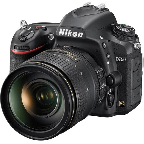 Black 24.3 MP Digital SLR Camera with 24-120mm Lens V3479