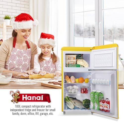 Mini Fridge with Freezer Dual Door S42463