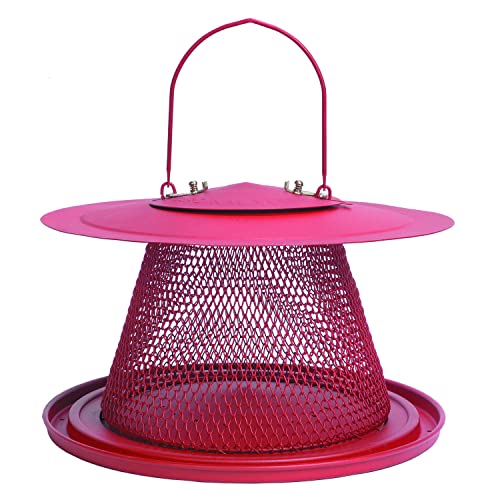 Red Cardinal Bird Feeder - 2.5 Feed Capacity G53584
