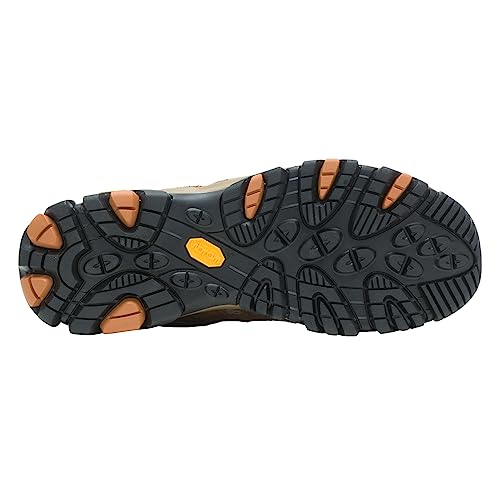 Men's Hiking Shoe N774