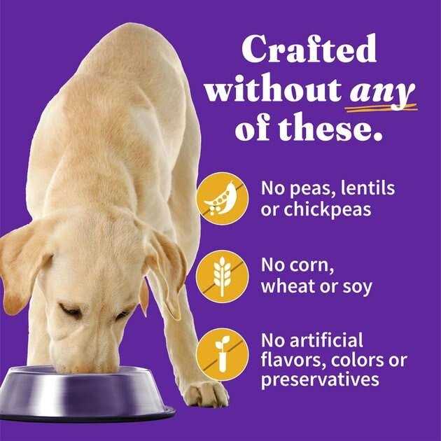 Grain Free Chicken Wet Dog Food O979