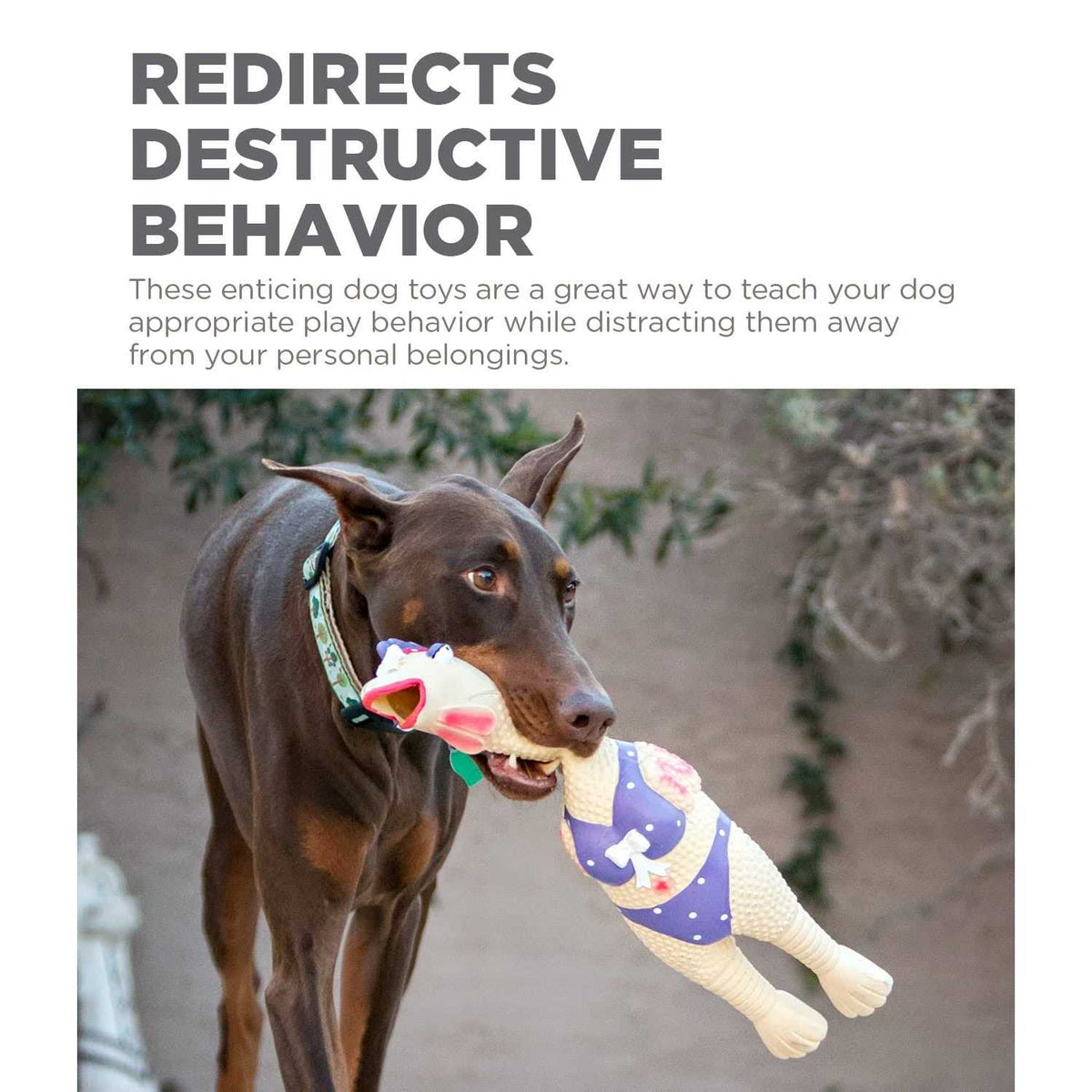 Latex Pet Toy F3617