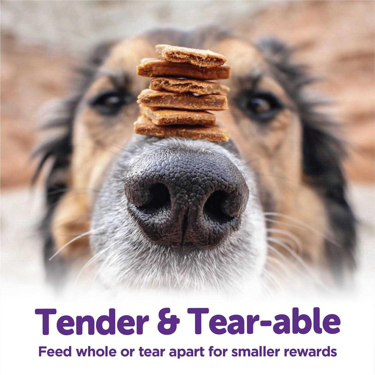 Turkey & Duck Recipe Dog Treats J2339