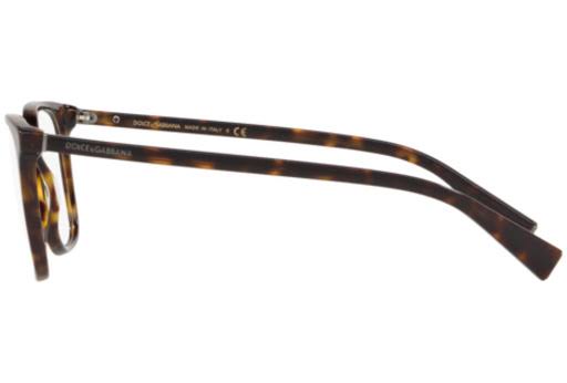 Havana Eyeglasses Y713