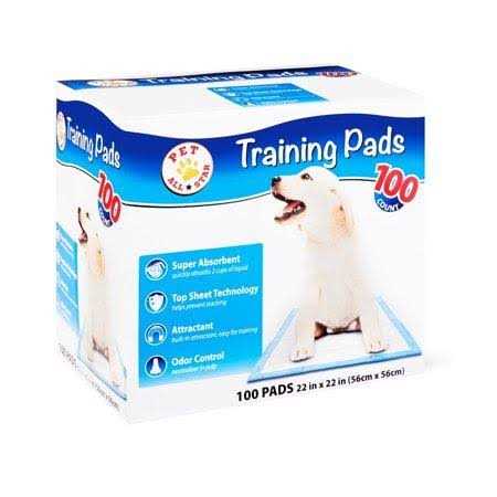 Training Pads 100 Count Z35481