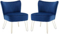 Velvet Accent Chairs with Golden U-Shape Legs Q77683