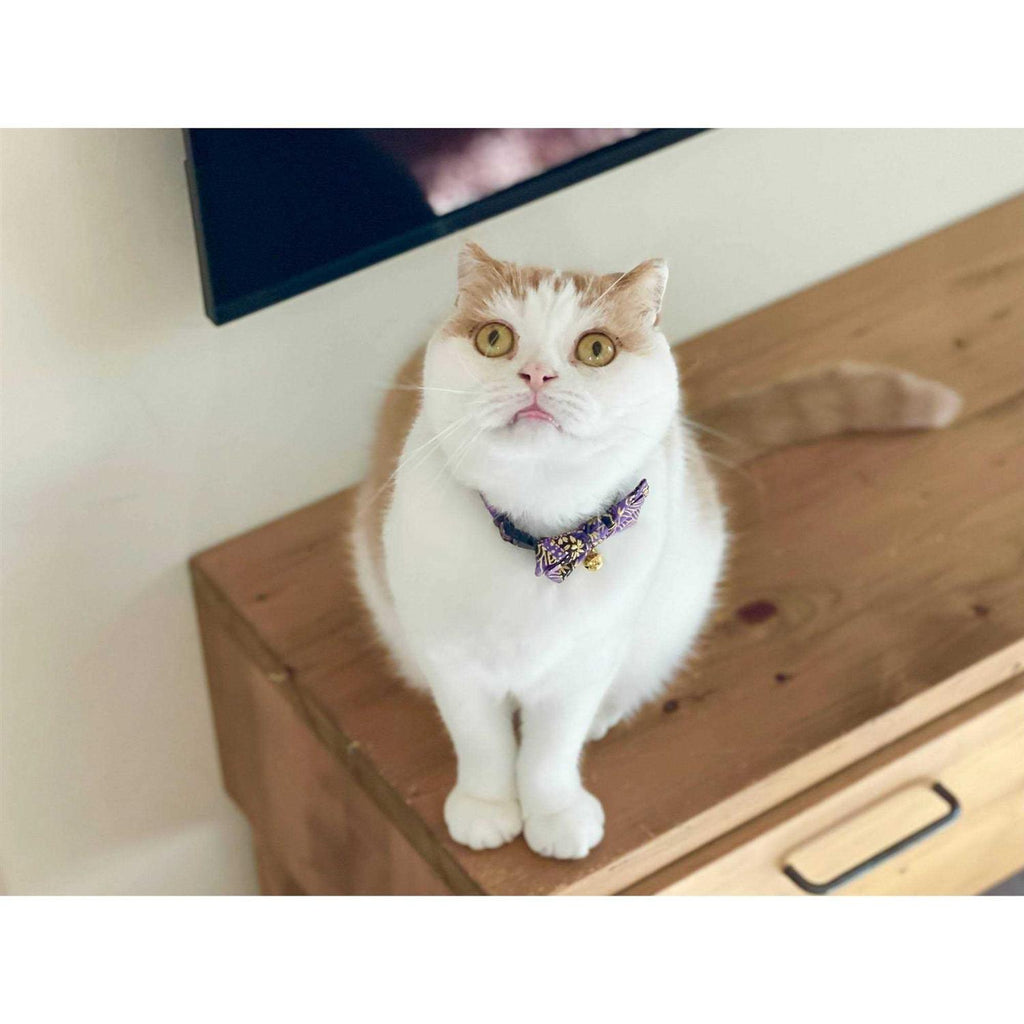 Bow Tie Cat Collar D87233