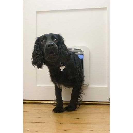 Microchip Pet Door I121927
