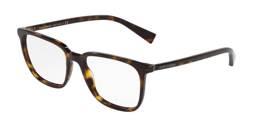Havana Eyeglasses Y713