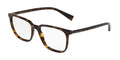 Havana Eyeglasses Y713