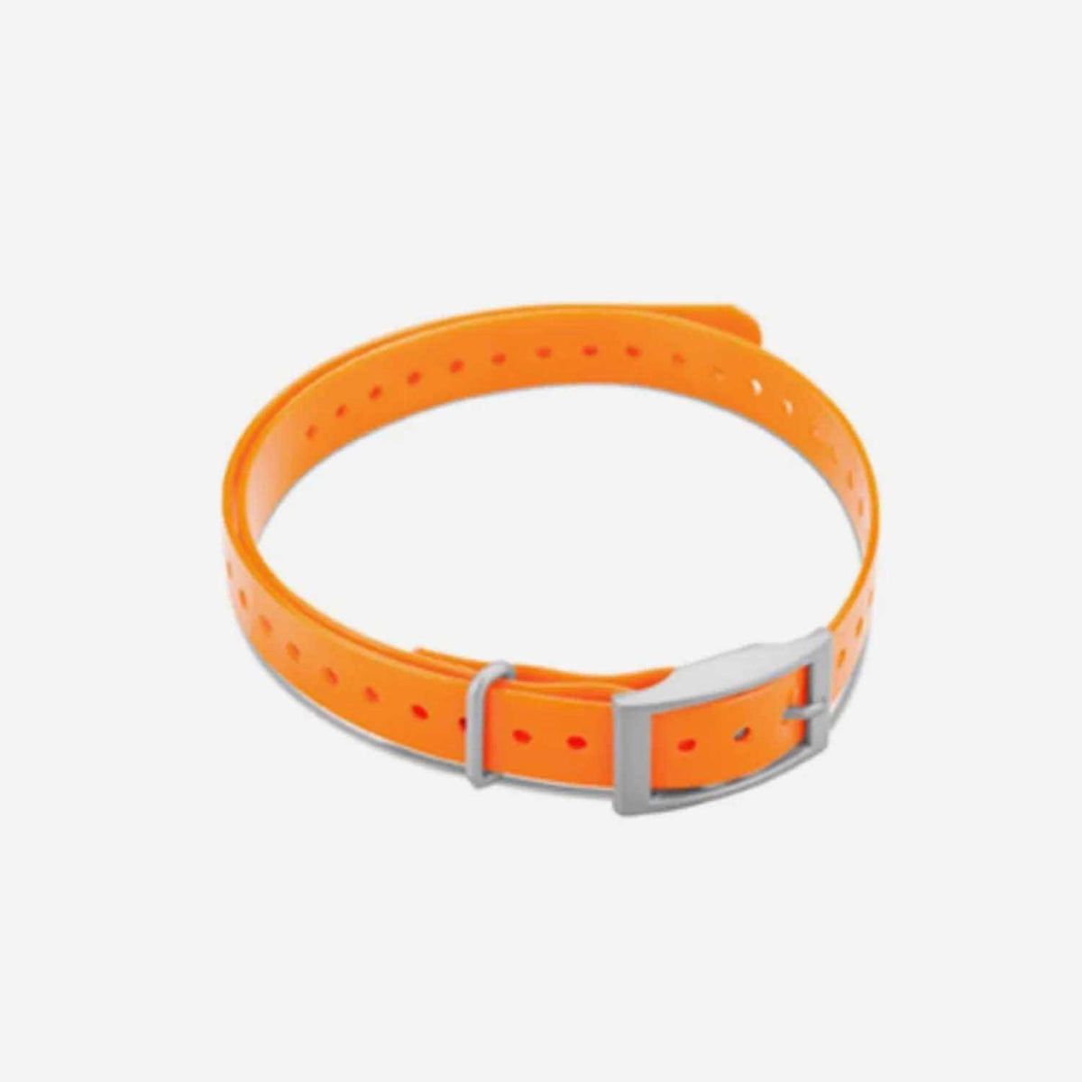 Collar Strap G533128