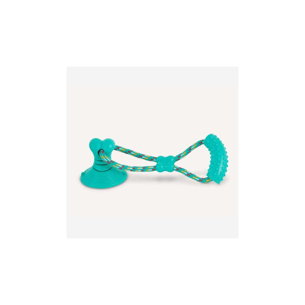 Suction Cup Tug Dog Toy W7859