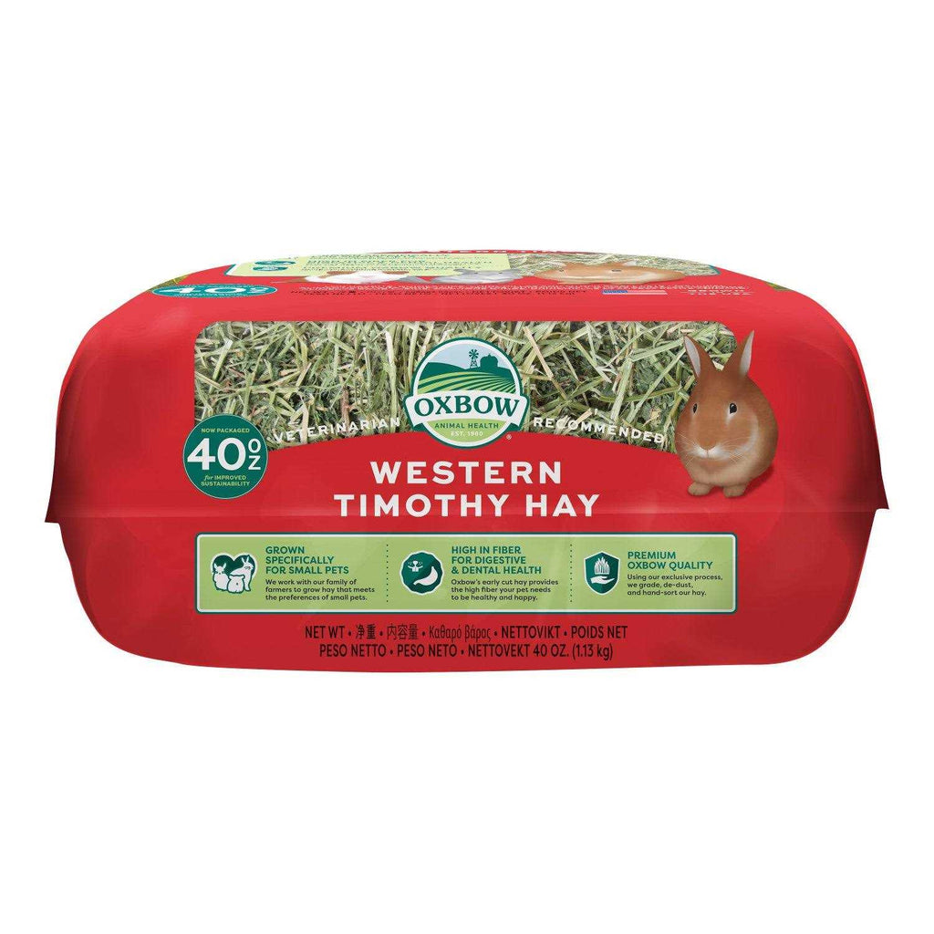 Timothy Hay H688