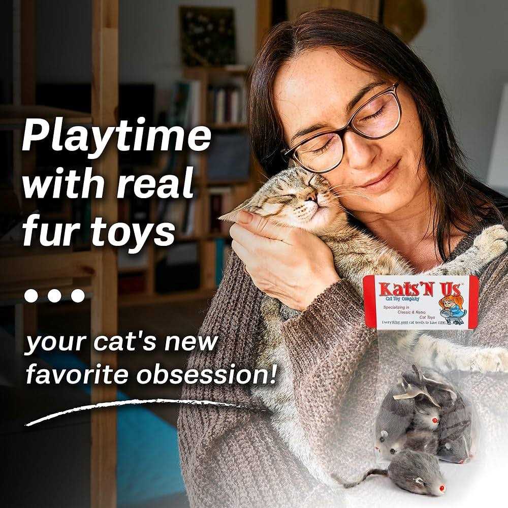 Mouse Cat Toy Q45092