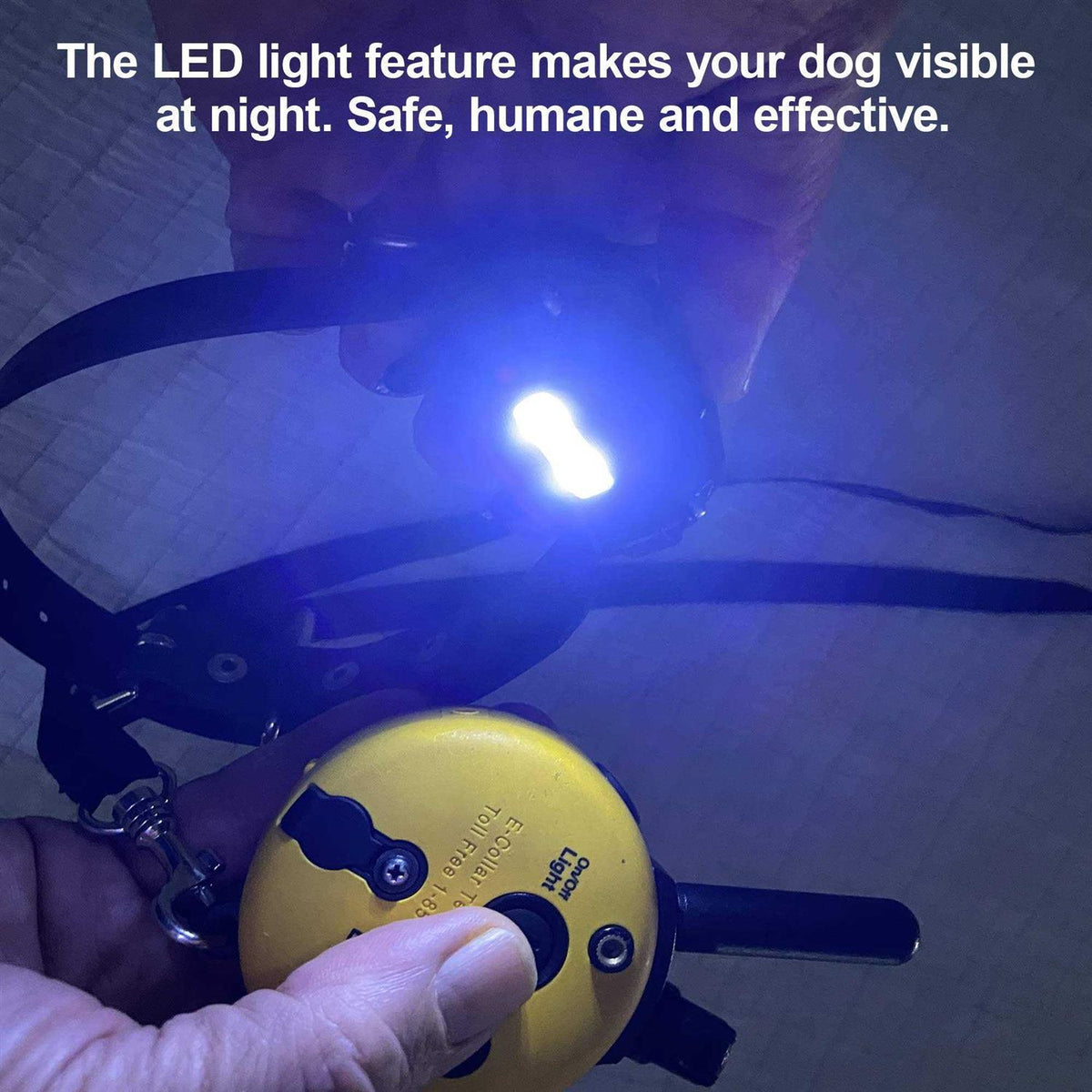 Remote Dog Training Collar B84986