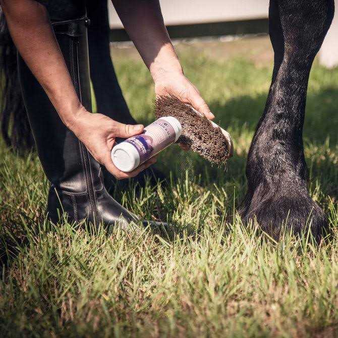 Dry Shampoo C5608