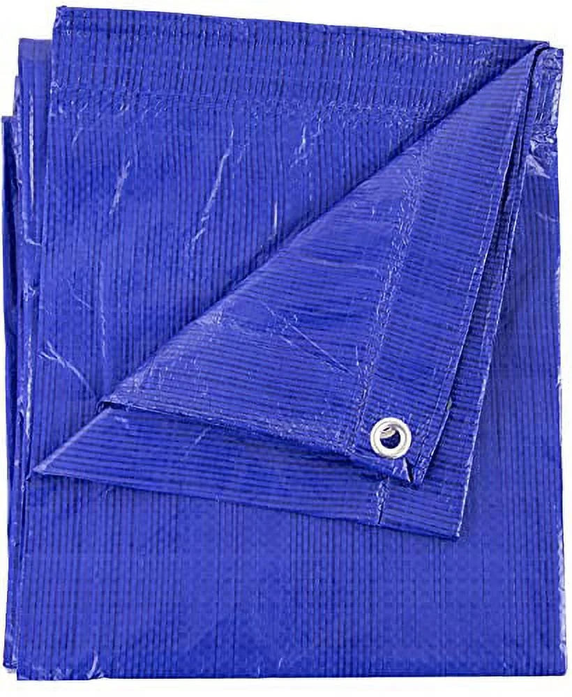 Blue 12-ft x 20-ft Poly Tarp I536434