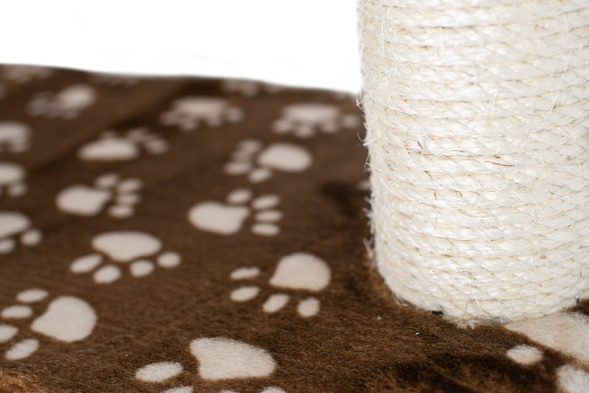 Saddle Brown/White Paw Print Cat Tree Y11069