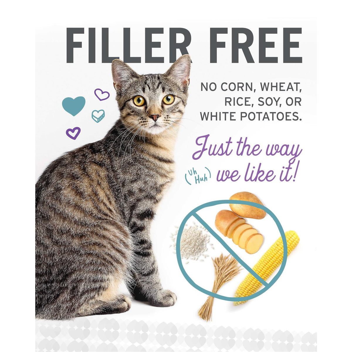 Wet Cat Food Variety Pack T30484