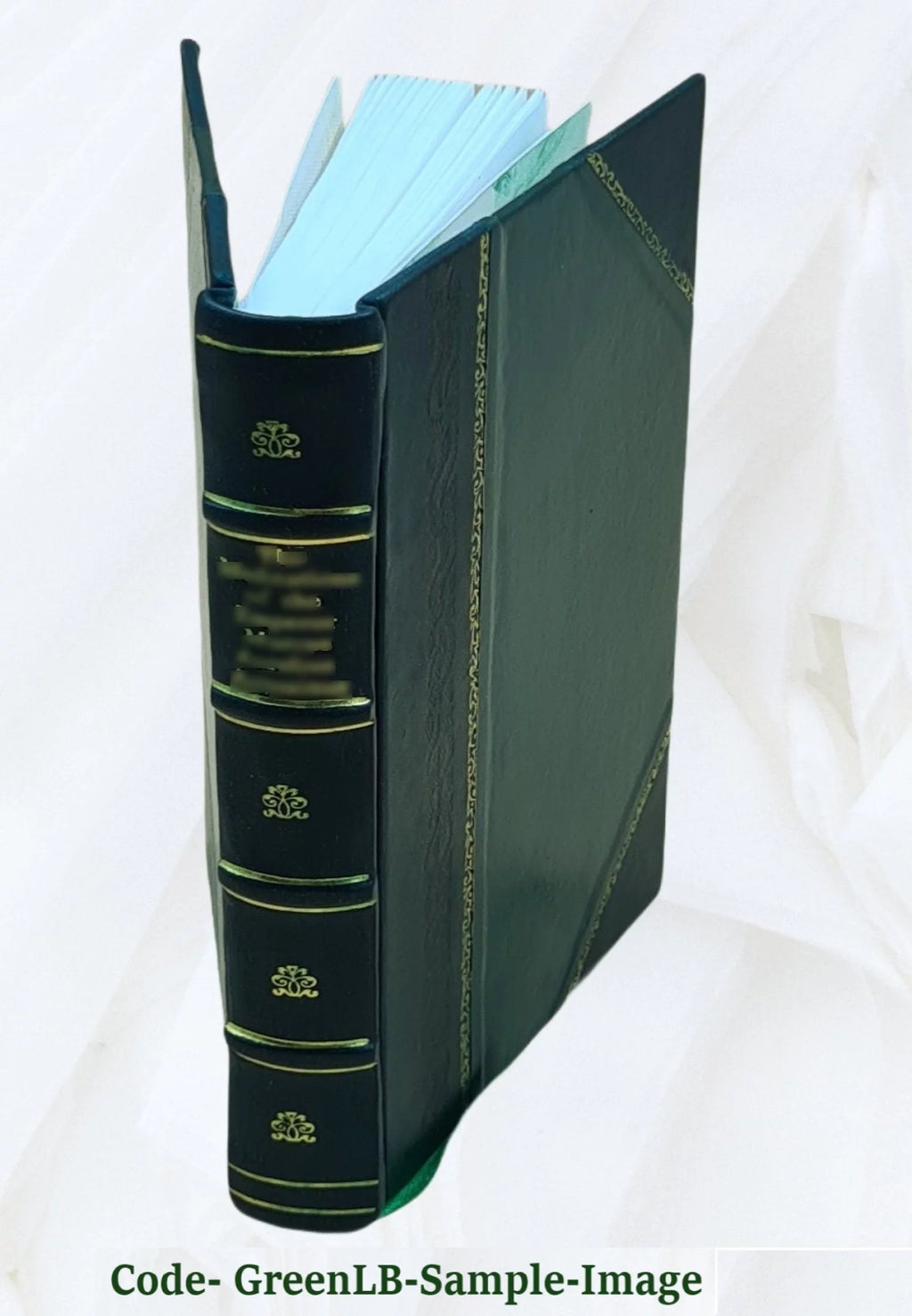 Leather Bound H234193