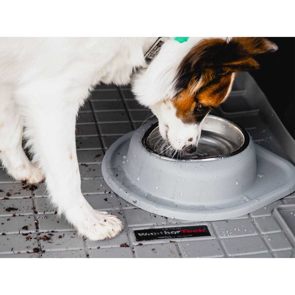 Double High Pet Feeding System Z14211